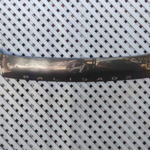 Moldura de portalón Hyundai Palisade 2020 - 2024 (II)