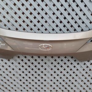 Moldura de portalón Hyundai Creta 2024 - 2025 (IV)